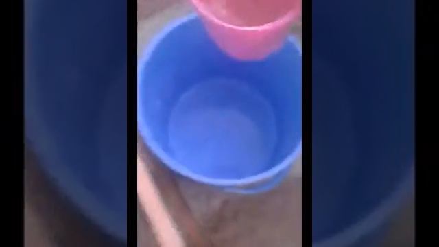 VLOG: мЕнЯеМ вОдУ чЕрЕпАхЕ)♡ смотреть онлайн