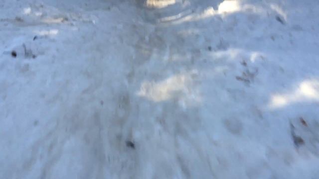 Снежный человек! :)