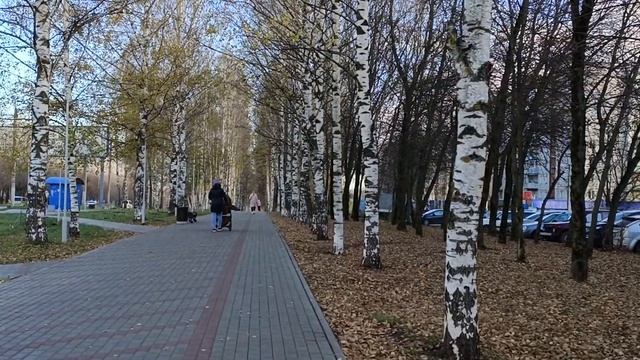 vivo V25 Pro: тестовое видео Full HD смотреть онлайн