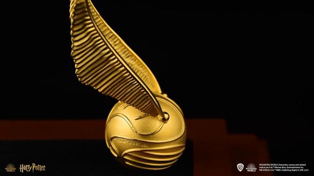 Catch the Golden Snitch! смотреть онлайн