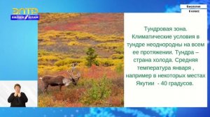 6-класс | Биология  | Понятие о растительном сообществе. Изучение растительного покрова Земли