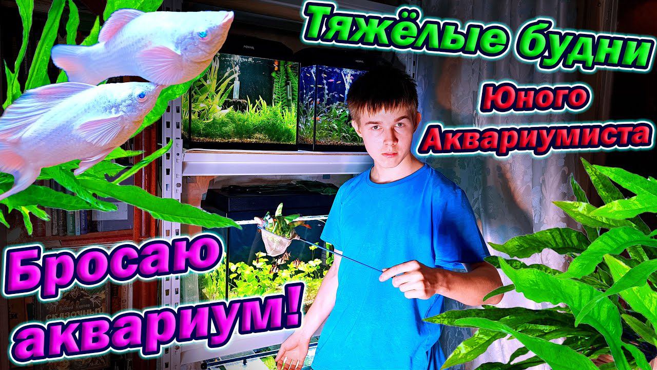 Всё! Бросаю аквариум! [Тяжёлые будни юного аквариумиста] смотреть онлайн