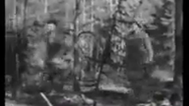 23 июля 1941 года, Союзкиножурнал №71 смотреть онлайн