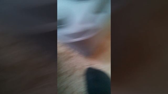 порохотяг samsung sc4181, ремонт смотреть онлайн