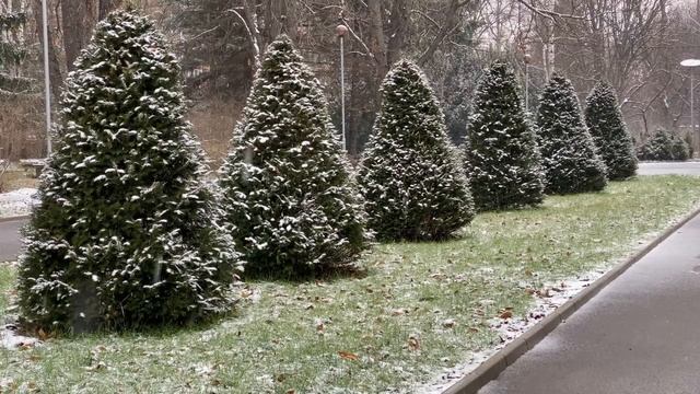 Christmas Music. рождественские песни всех времен смотреть онлайн