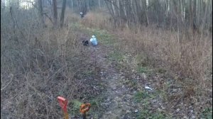 ЗАГОТАВЛИВАЕМ НИЗИННЫЙ ТОРФ ДЛЯ ЧЕРВЕЙ И ОБЗОР ЗАКАЗОВ