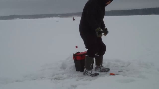 Ночная рыбалка на Пестовском водохранилище. Разведка рыбалкой. смотреть онлайн