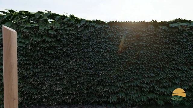 3D Визуализация эскизного проекта смотреть онлайн