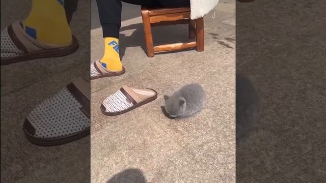 Я и жестокий социум, принуждающий меня покинуть свою зону комфорта