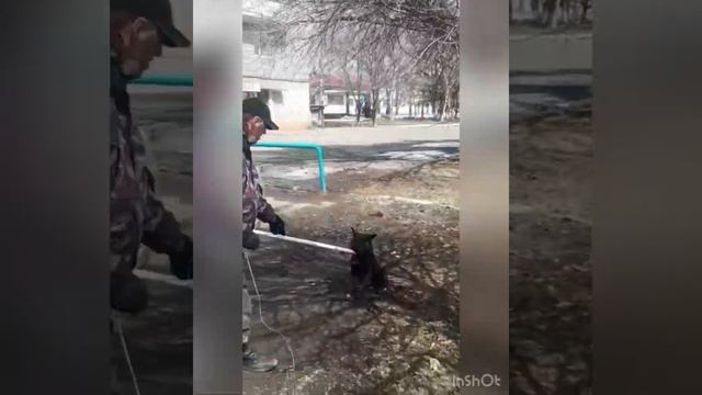 Отлов собак 26.03.2022г. смотреть онлайн