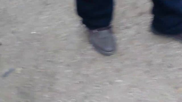 Голубиный базар в Брюховецкой 27.11.21г смотреть онлайн