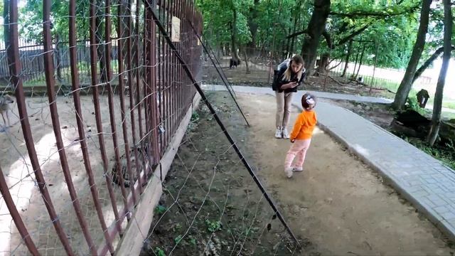 Дукора животные/зоопарк в Дукоре/дукорский маентак/страусы, павлины и другие животные смотреть онлайн