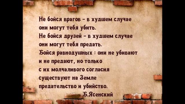 Нормальные с шакалами в одном строю не ходят! смотреть онлайн