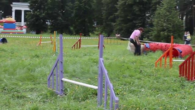 24.08.2014 Цитова Анна и Золотистый ретривер Джерри