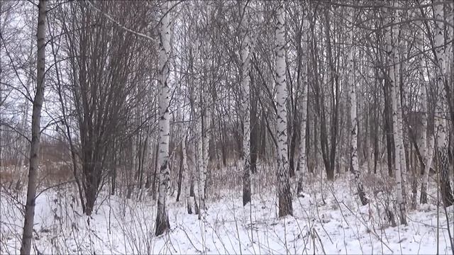 Охота на зайца с Эстонской гончей...Сезон 2019-2020.Заяц разбил себе нос))))) смотреть онлайн
