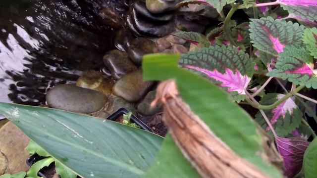 МИР БАБОЧЕК! Берем на руки, кормим, играем!) Много красивых видов! / World of BUTTERFLIES! смотреть онлайн