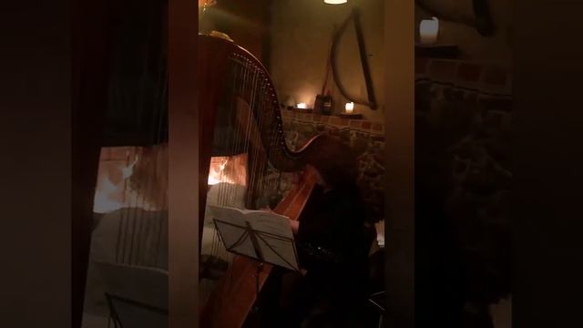 Германия, земля Бранденбург, Hohenselchow-Groß-Pinnow. Средневековый ресторан, живая арфа. смотреть онлайн