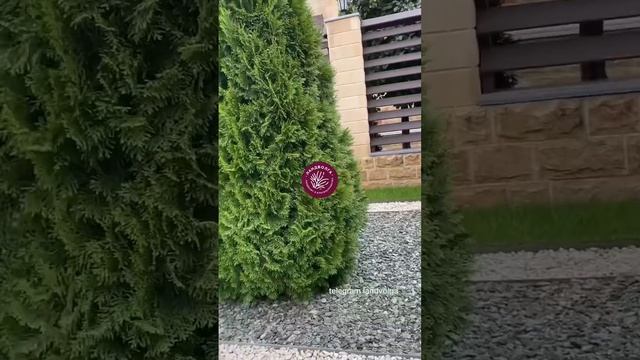 Оформление фасада в регулярном стиле Ландволга ландшафт дизайн смотреть онлайн