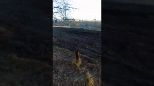 Омская область г.Исилькуль смотреть онлайн