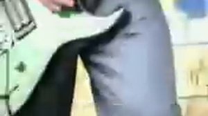 Сектор газовой атаки-Панк рок