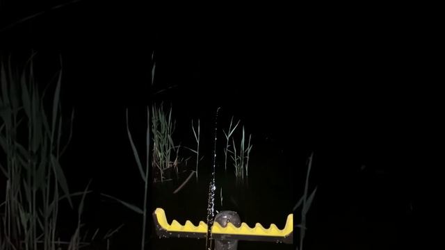 Ночь. Рыбалка. Звуки природы. Тишина. Лето. #рыбалка#природа#отдых#лето#отдых# смотреть онлайн