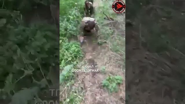 Хохлы выложили видео, где заставили наших пленных ползать на коленях За всё приходится платить, поэ смотреть онлайн