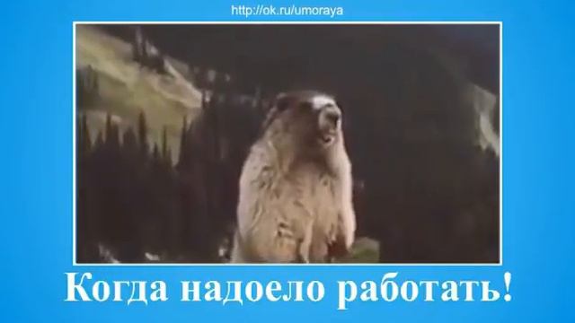 Праздничные выходные: Радость на пути к успеху