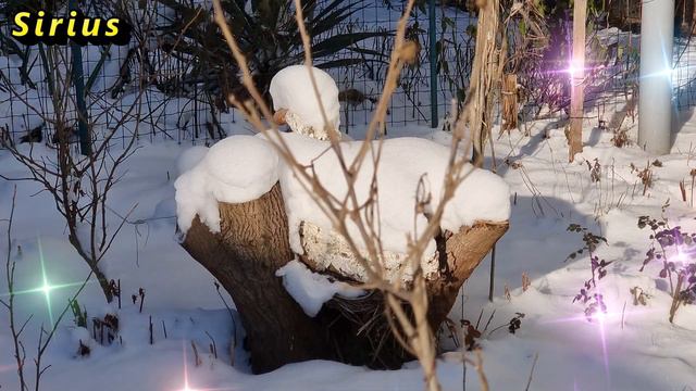 Каждый день недели обладает своей денежной энергией смотреть онлайн