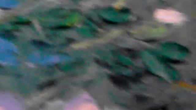 Купить картину маслом на Ярмарке мастеров! Картина холст масло. смотреть онлайн