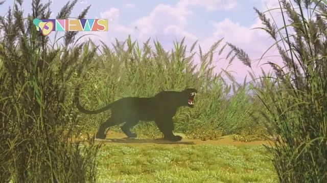 Мультяшные батыры Сабита Абдыкалыкова смотреть онлайн