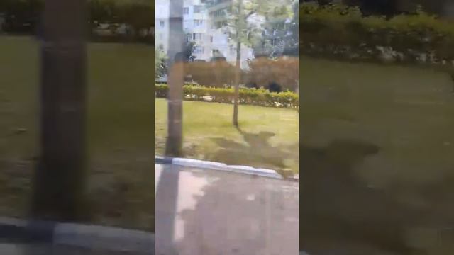 Солигорск| поездка на автобусе МАЗ 203.016 гос. Номер Ат4619-5 часть 2 маршрут № 10а с информатором смотреть онлайн