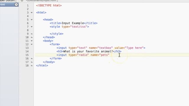 Allow User Input with HTML смотреть онлайн