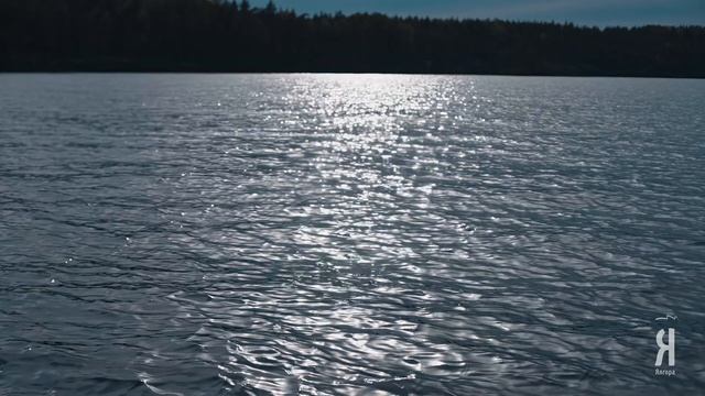 Тур 4 стихии, лето 2022. Карелия, курорт Ялгора смотреть онлайн