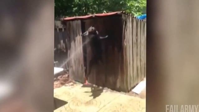 ха ха ха Подборка самых смешных приколов с животными (Канал Котик+) смотреть онлайн