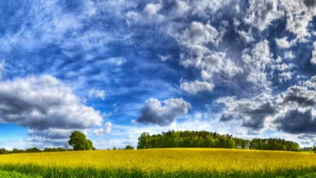 Память о друге смотреть онлайн