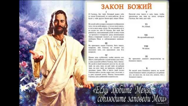 Про совесть и ответственность. Размышления на тему чужого ролика смотреть онлайн