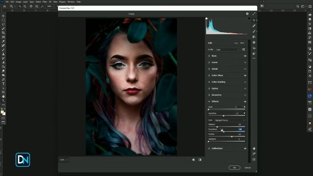 Camera raw new preset (2021) free download смотреть онлайн