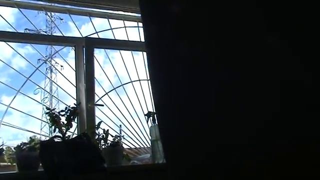 Силовые методы администрации или чем виноваты лошади? смотреть онлайн