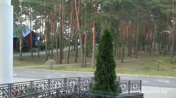 Санаторий Солнечный берег - территория и природа, Санатории Беларуси
