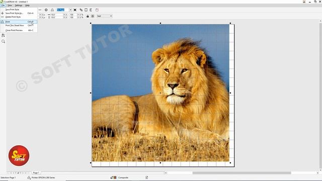 Tiles Printing in CorelDraw | Print Setting | Corel Draw in Tamil Tutorial | Soft Tutor смотреть онлайн