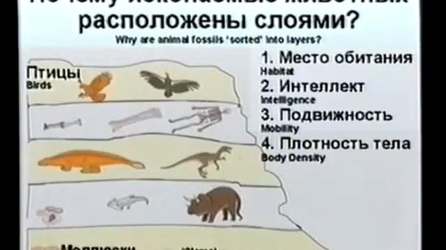 Тема 6 Теория Ховинда Кент Ховинд Творение или эволюция смотреть онлайн