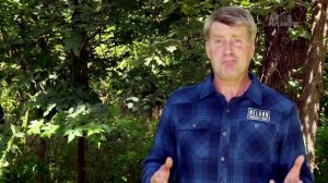 Дома на деревьях 4 серия «По всему миру Бразилия» (документальный сериал, 2015)