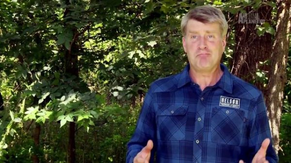 Дома на деревьях 4 серия «По всему миру Бразилия» (документальный сериал, 2015)