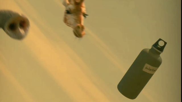 Giraffe Vs Elephant Fight (HD)