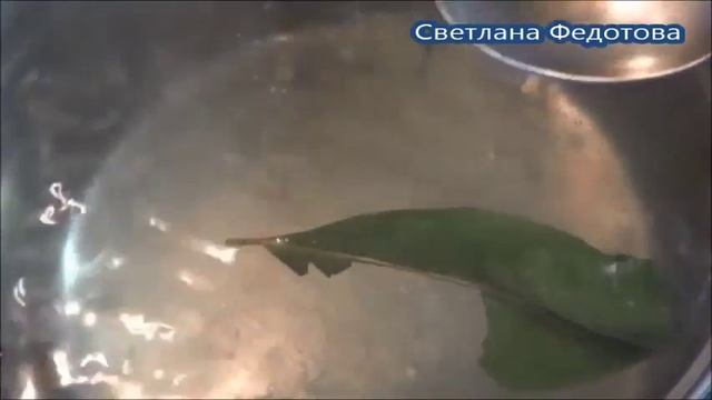 Свекла на зиму. Маринованная свекла. смотреть онлайн