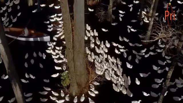 Kenny Rogers & Bee Gees • You And I (Tradução) смотреть онлайн