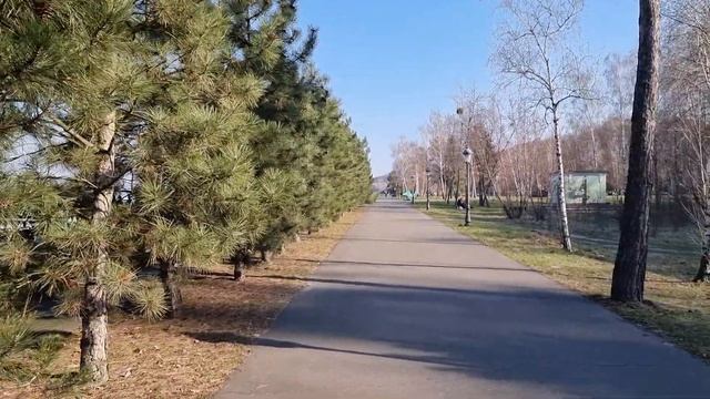 шишки трещат на солнце. межигорье. 11 апреля 2021 смотреть онлайн