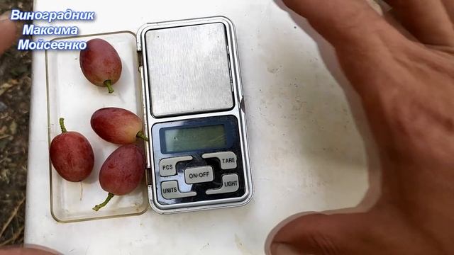 Зоренька смотреть онлайн