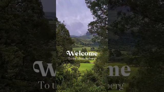 Welcome to the #Drakensberg 😍 #travelvlog #travelsouthafrica #southafrica #southafricatravel смотреть онлайн