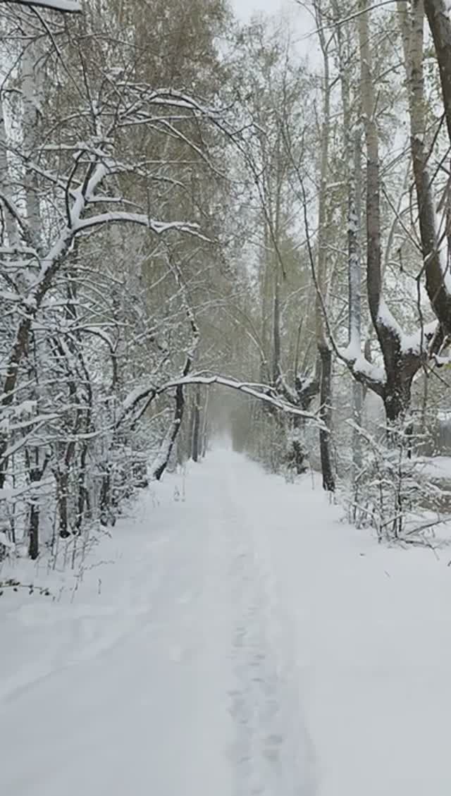 4 мая 2024 года